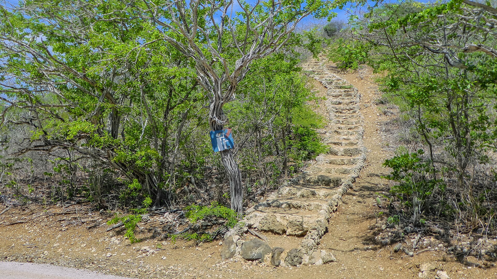 A trail in Christoffel National Park, Curaçao