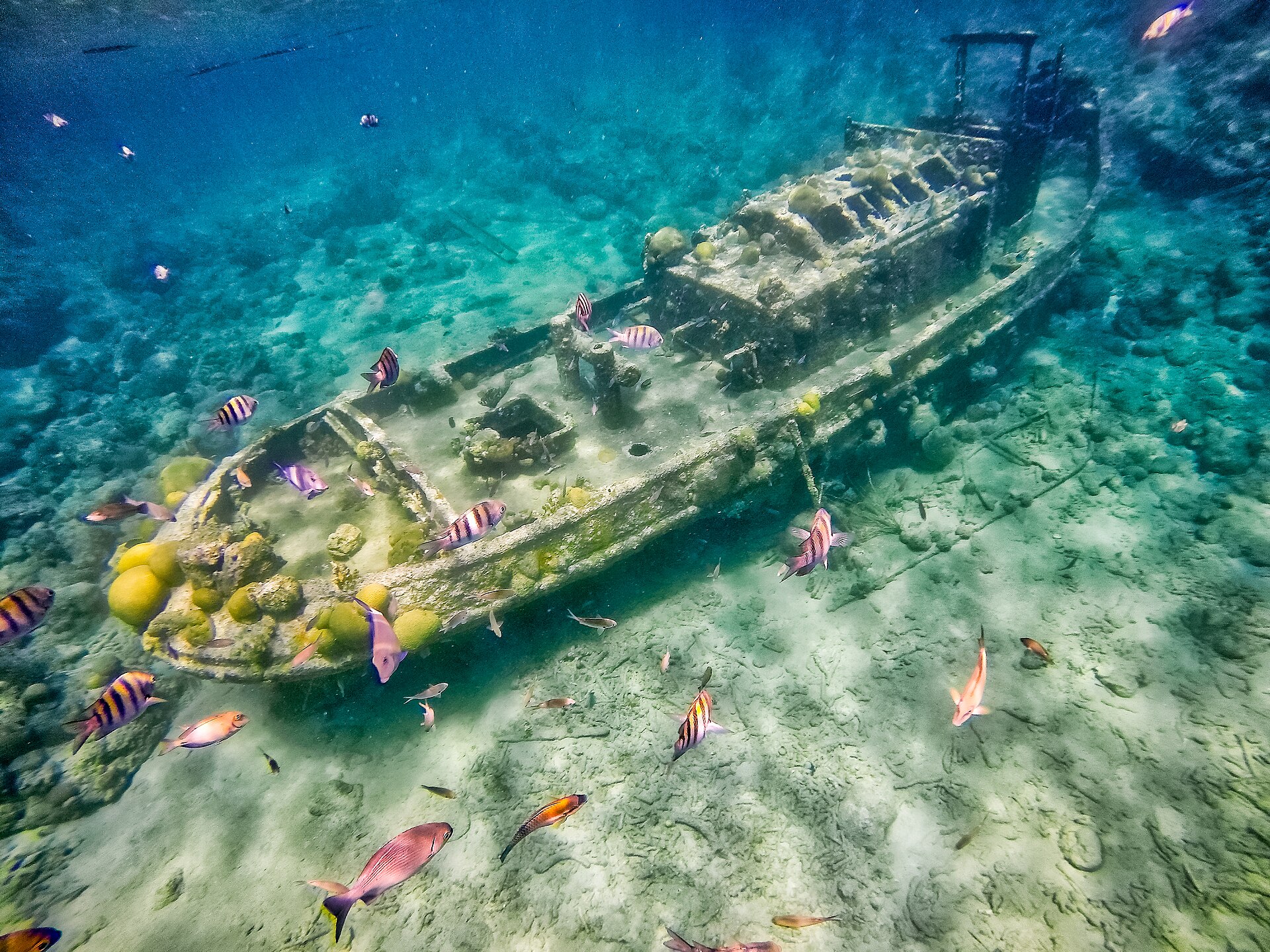 The Tugboat wreck underwater at Tugboat Beach, Curaçao